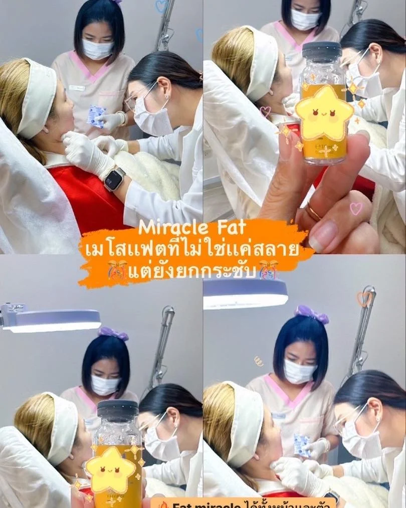 โปรแกรม MESO FAT คืออะไร? ออกฤทธิ์อย่างไร?