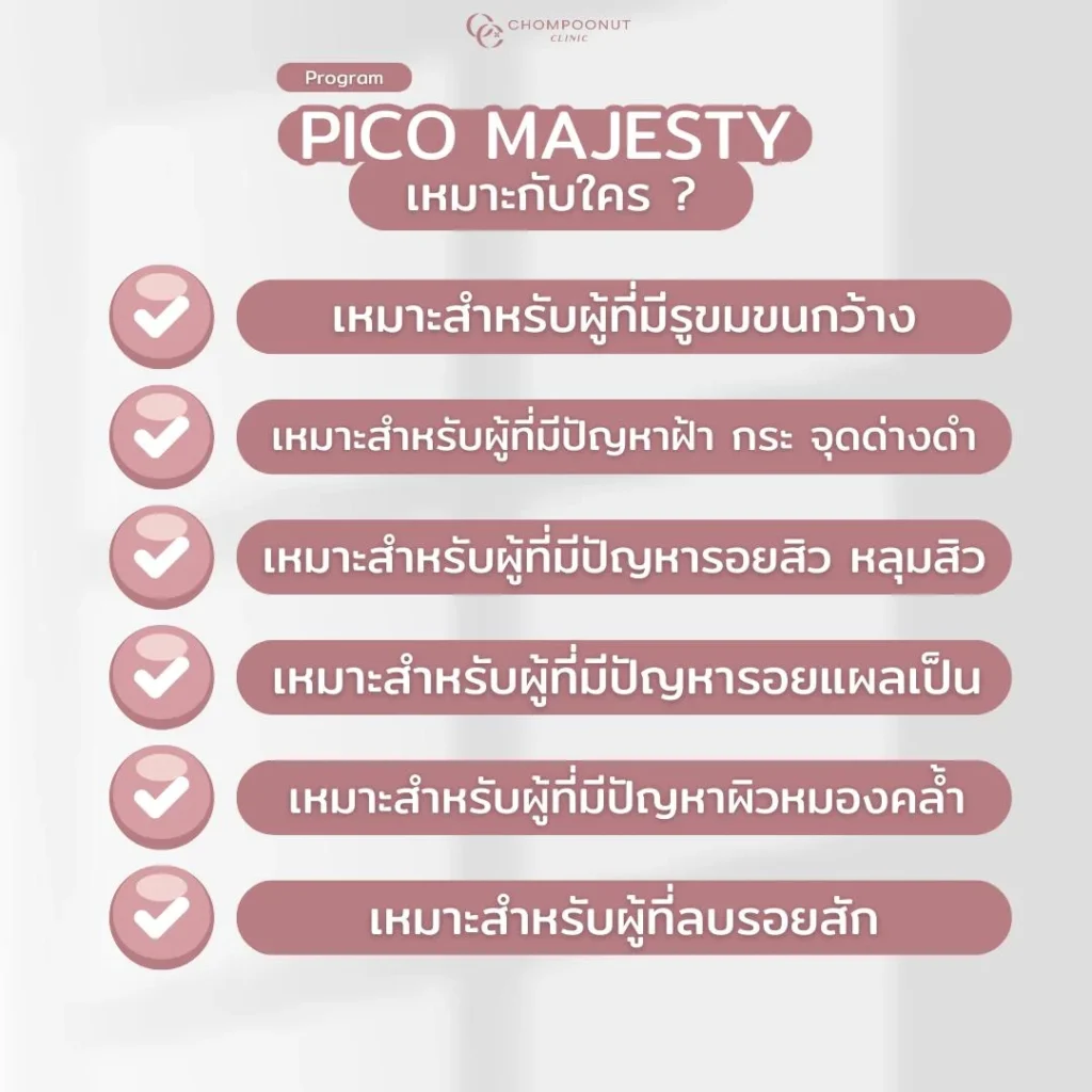 โปรแกรม Pico Majesty คืออะไร ? เหมาะกับใครบ้าง​