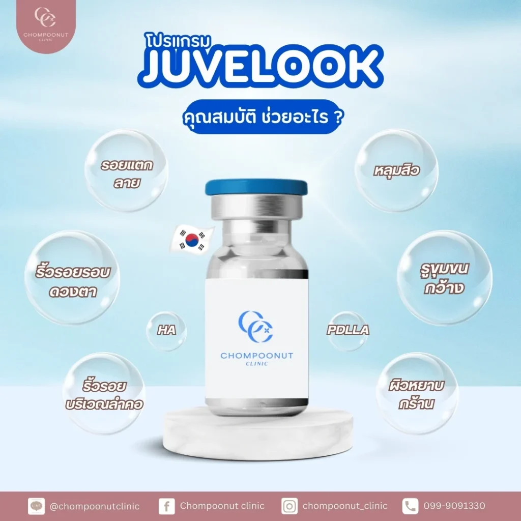 โปรแกรม Juvelook มีคุณสมบัติอะไรบ้าง ?